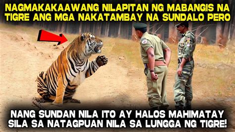 Parang Mabangis na Tigre sa Pagkawild si Badeth .